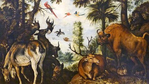 Roeland Savery - Paysage de forêt avec animaux