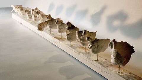 Exposition : Interactions de Bruno Dupire Exposition : Interactions de Bruno Dupire