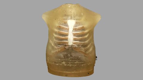 SURrogate of finite element hUman Body model