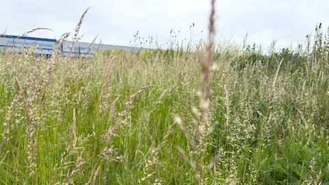 Mémoire industrielle et photographie : un projet participatif avec les habitants pour raconter l’histoire d’Usinor