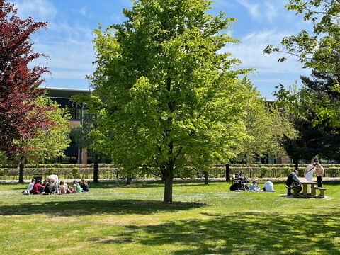 Campus Mont Houy - Espace vert